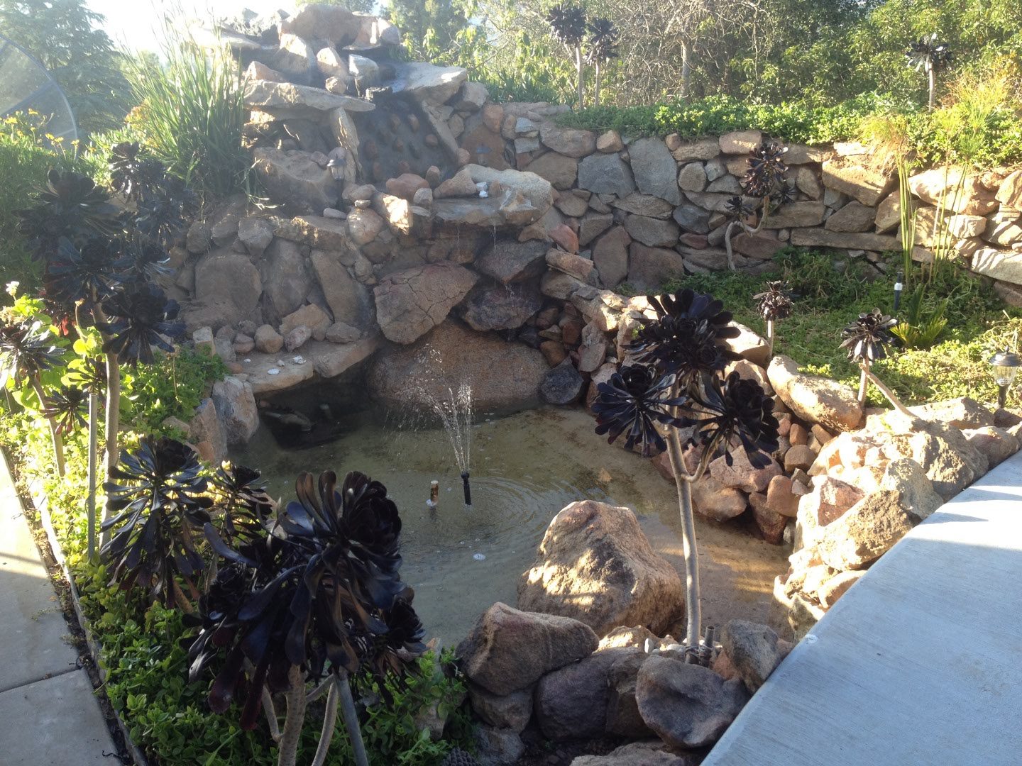 2406 photo 24
